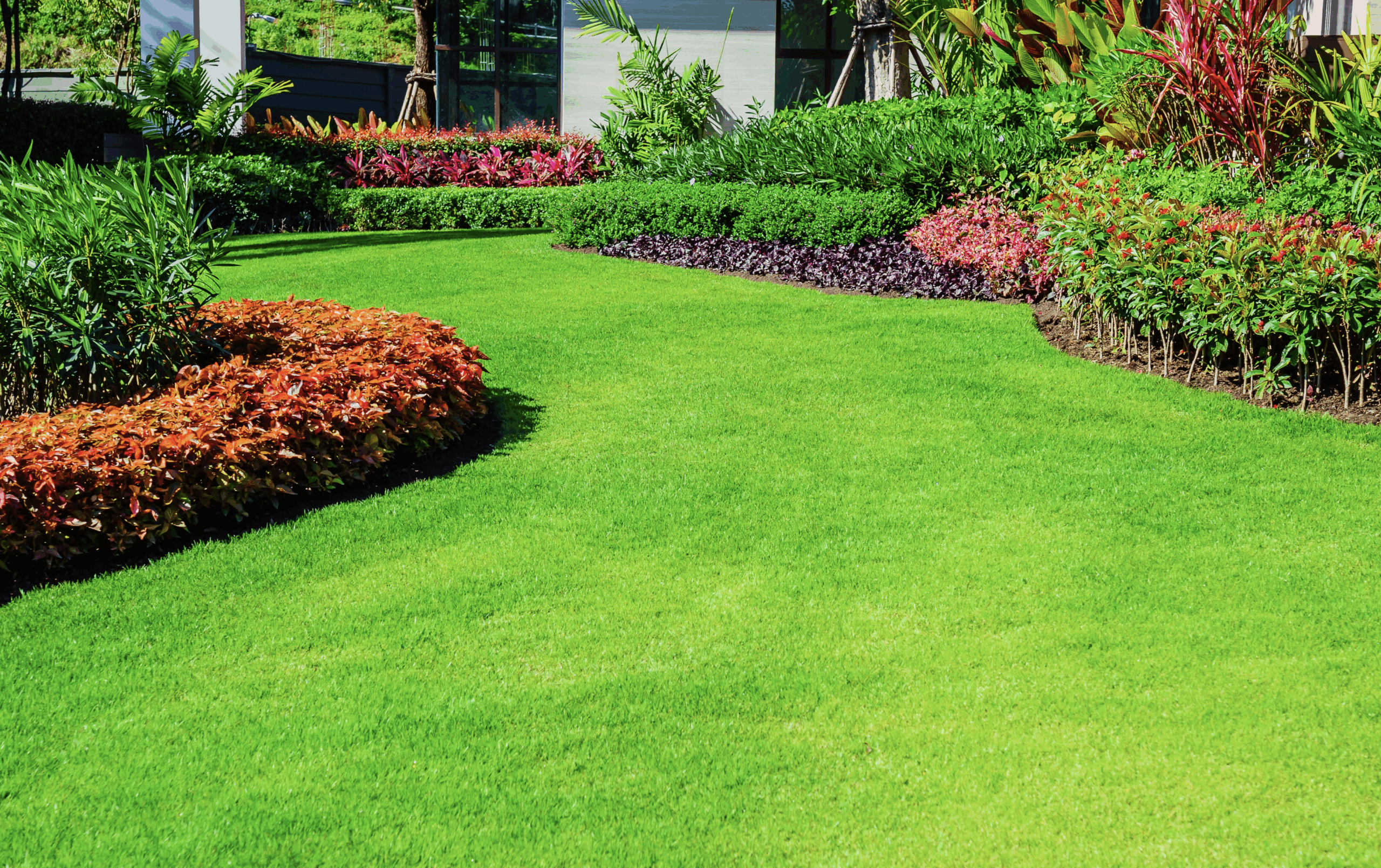 Po jakim czasie kiełkuje trawa i od czego to zależy?