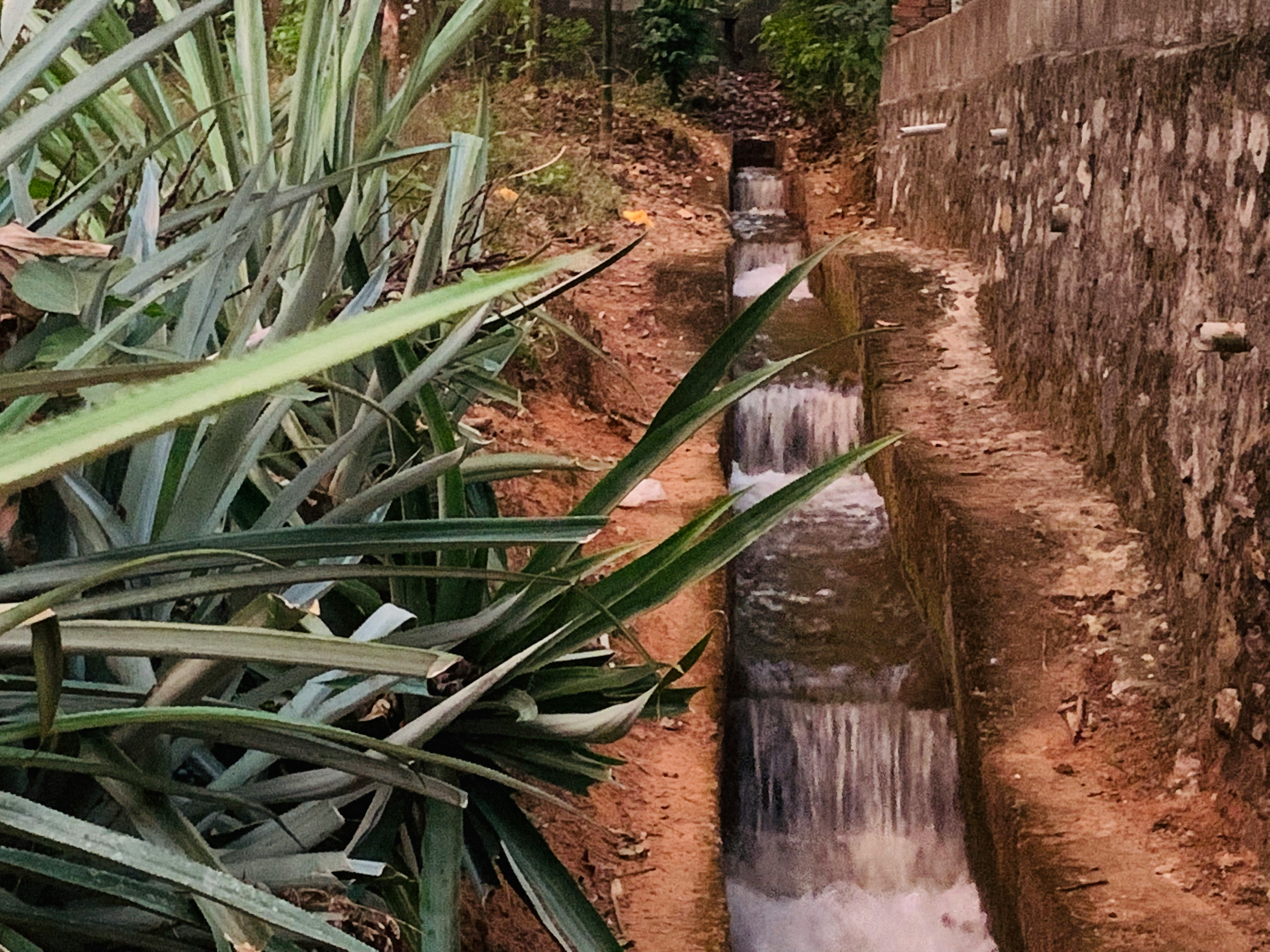 Jak wybrać idealne koryta betonowe do prac budowlanych i odwodnienia