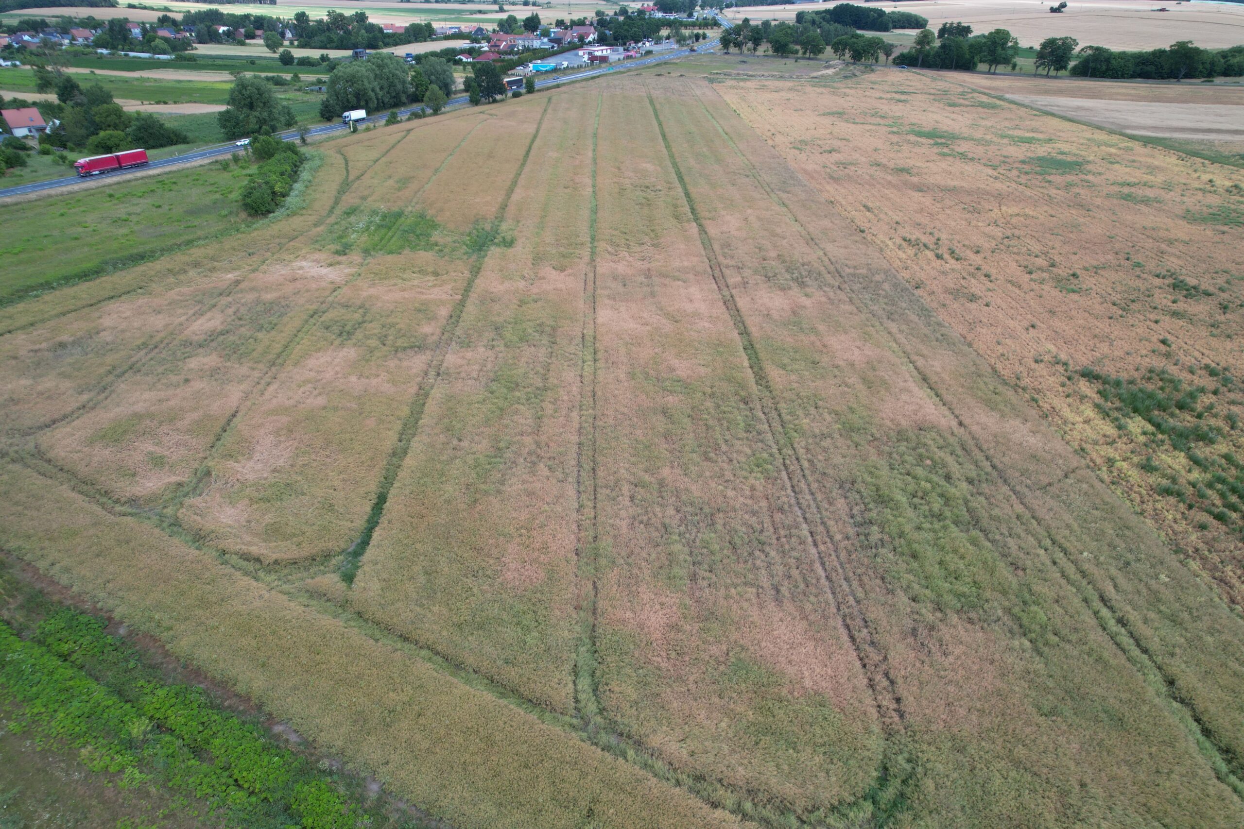 Działki na sprzedaż? Tylko z głową. Oto serwis, który zmienia zasady gry