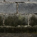 Wilgoć w piwnicy - skąd się bierze i jak skutecznie się jej pozbyć